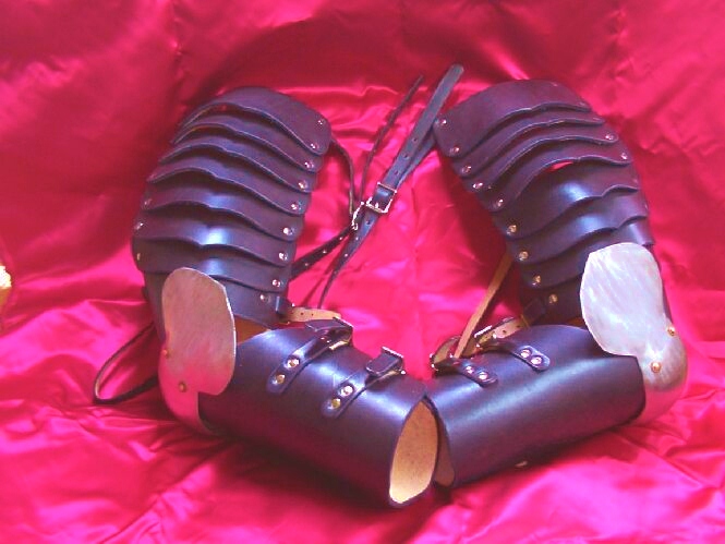 Full Arm Harness with Stainless Elbows